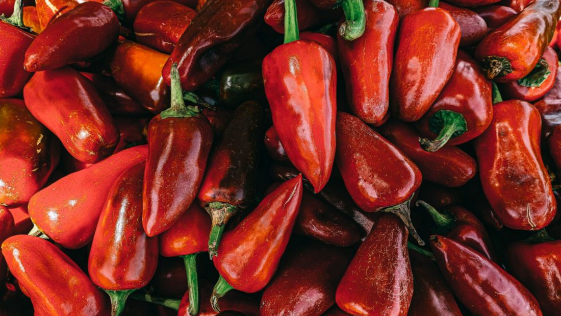 Studies on Capsaicin