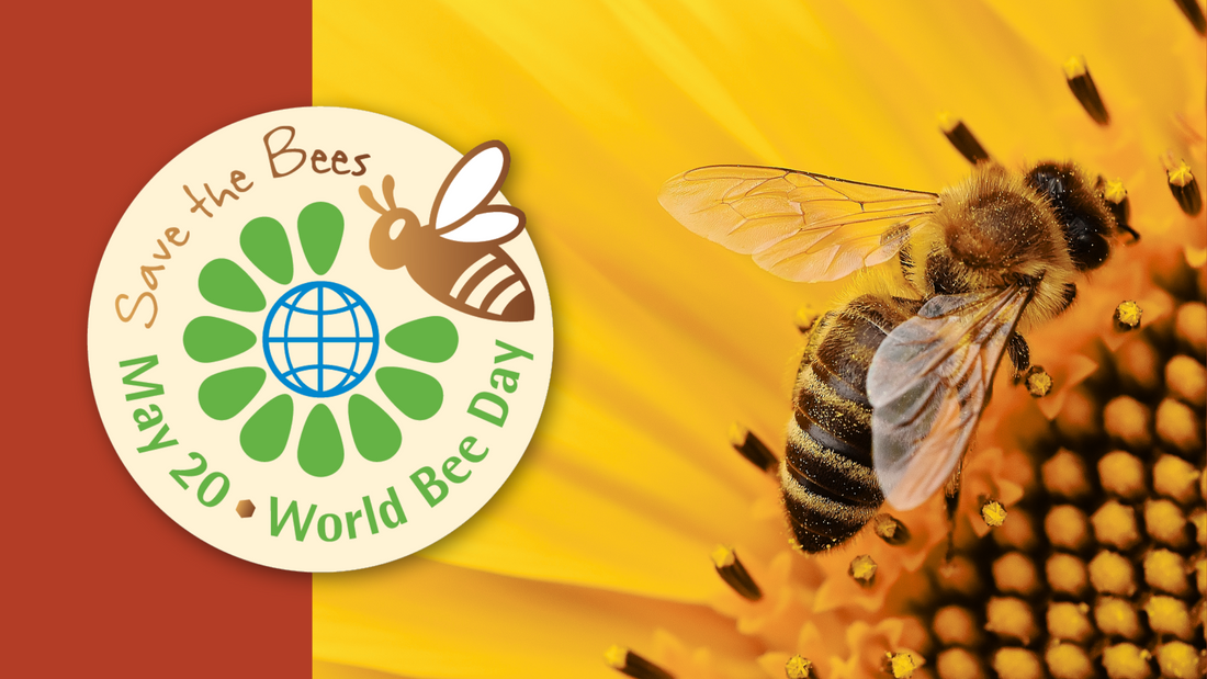 It's World Bee Day - Why MWax LOVES Bees!